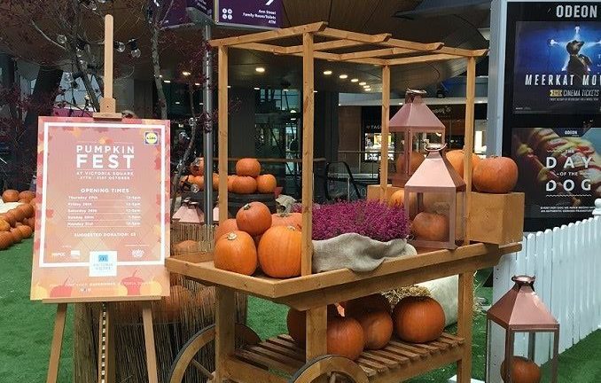 Pumpkin Fest